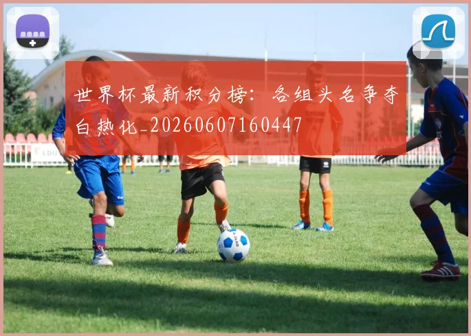 世界杯最新积分榜：各组头名争夺白热化_20260607160447